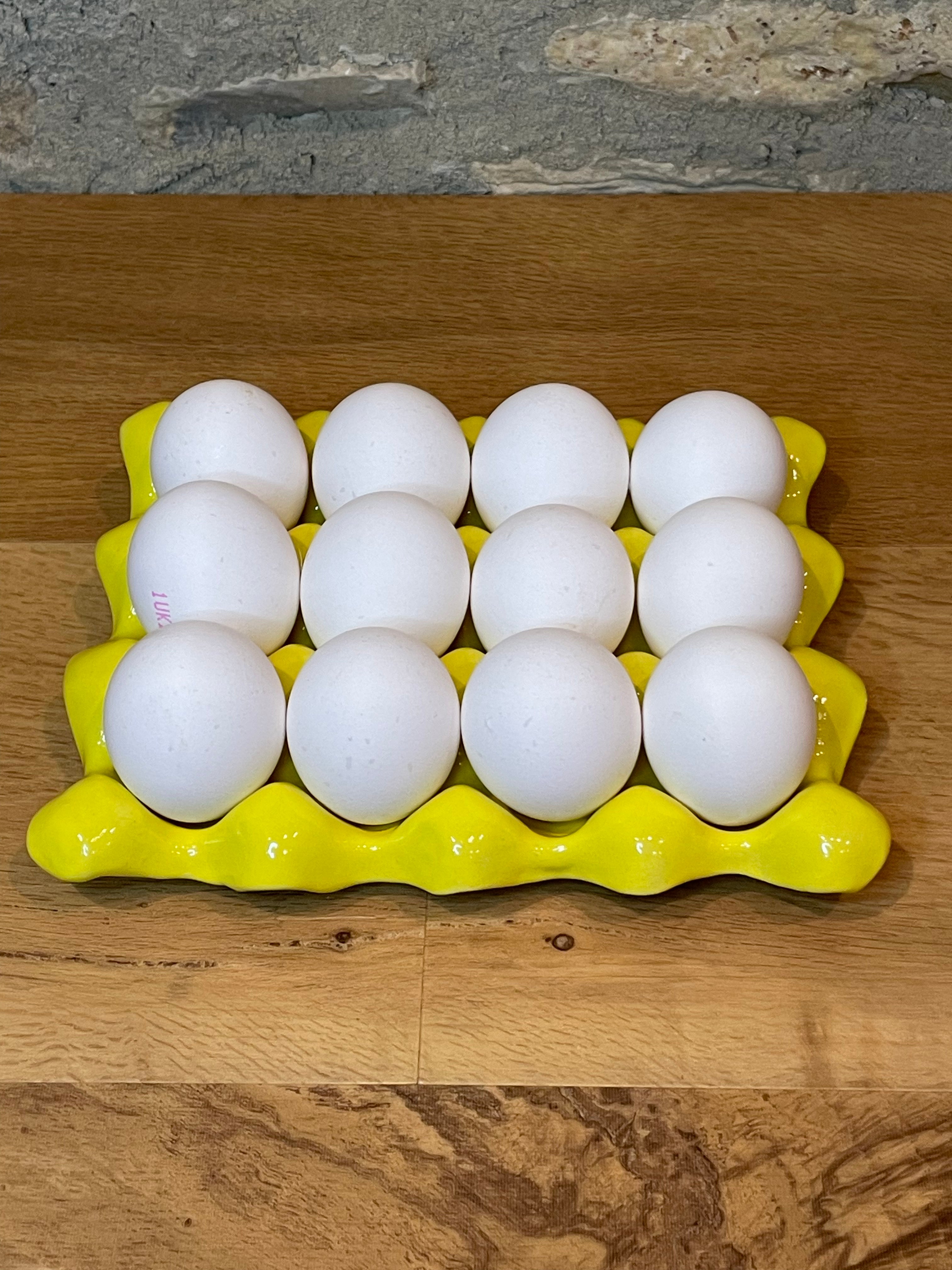 Egg Tray - Yellow - 584